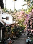 LuangPrabang3