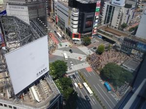 The famous Shibuya crossing, directly below us.